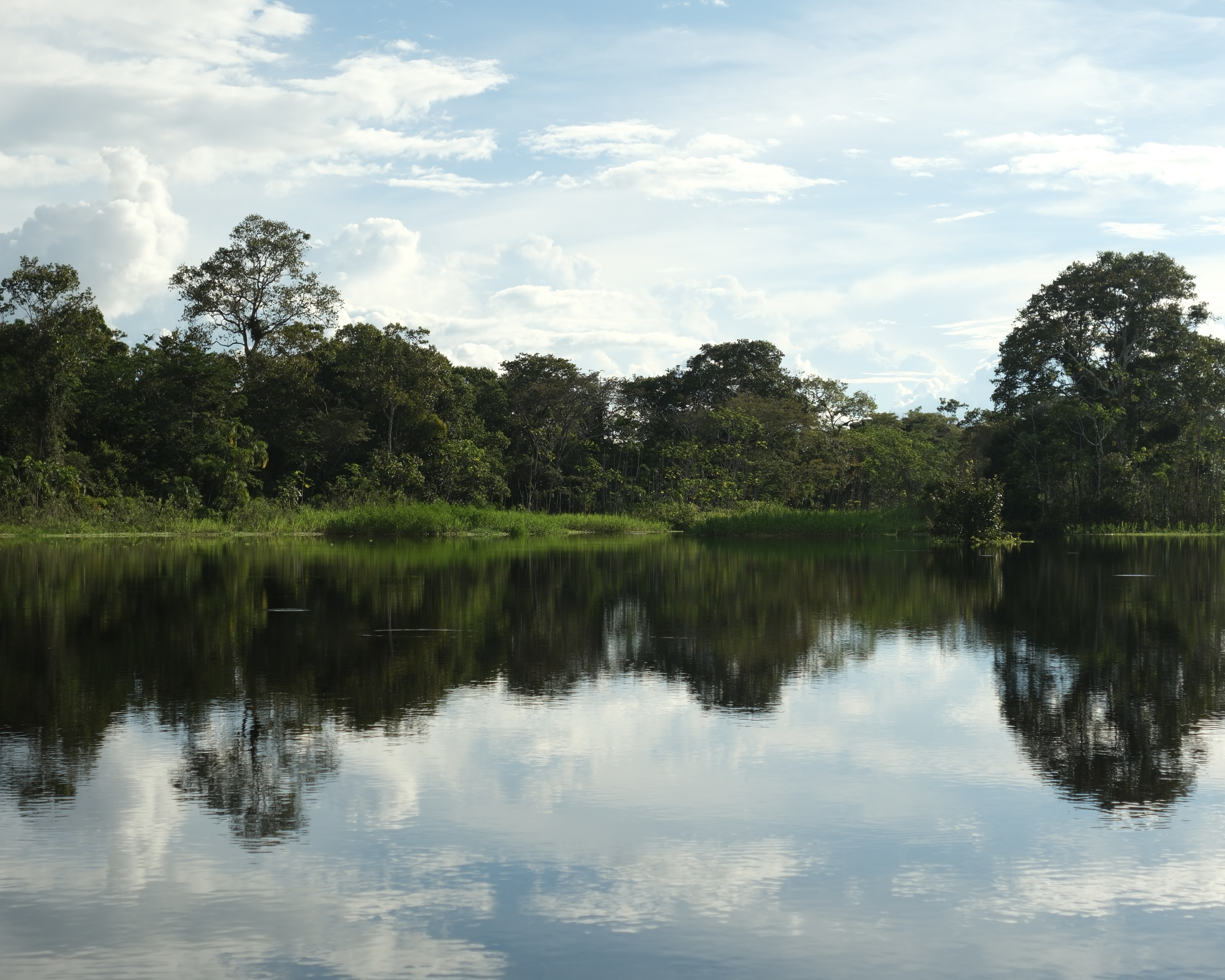 Reserva Nacional Pacaya Samiria