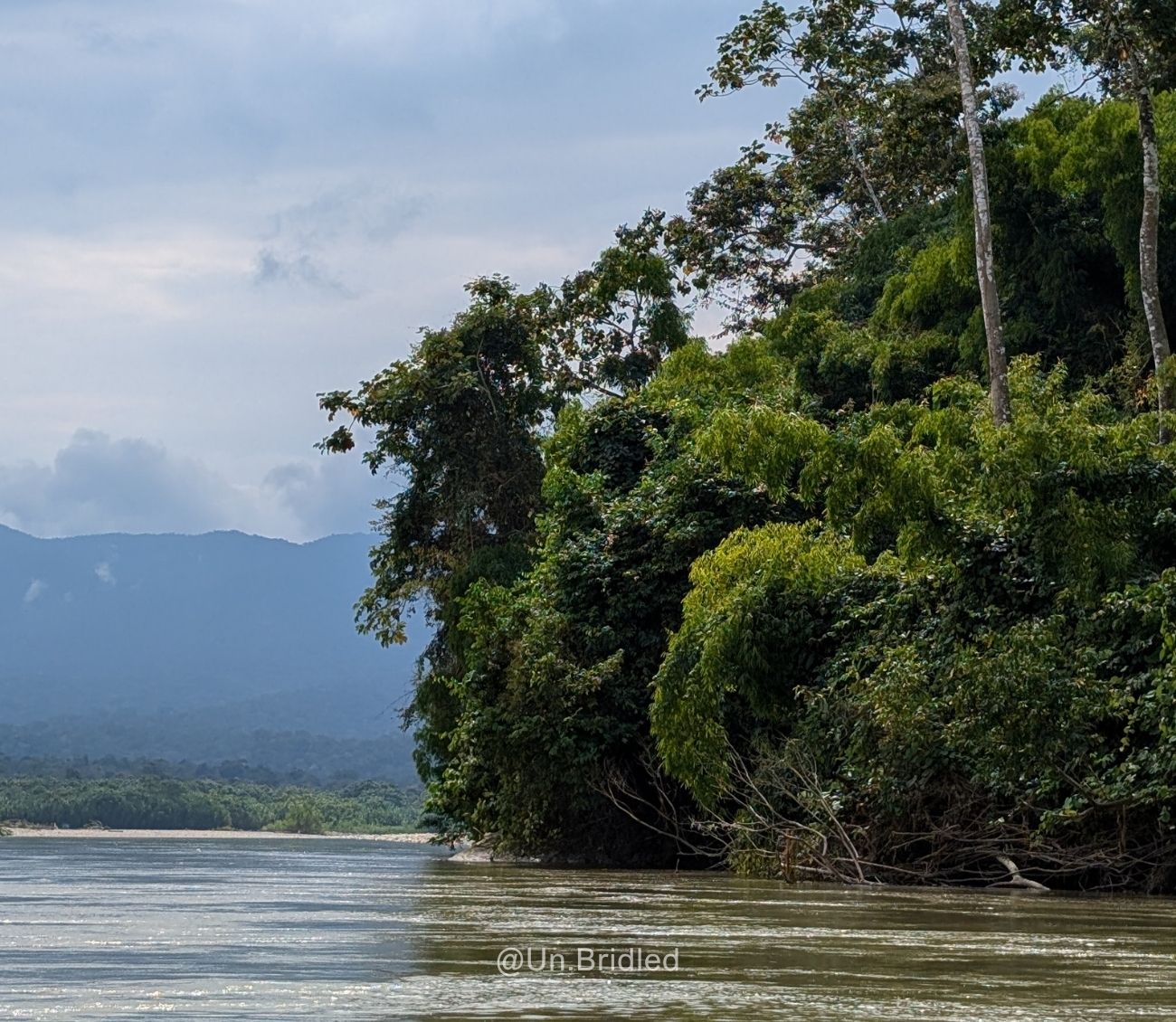 Can Tourism Help a Protected Area Stay Protected? — 3