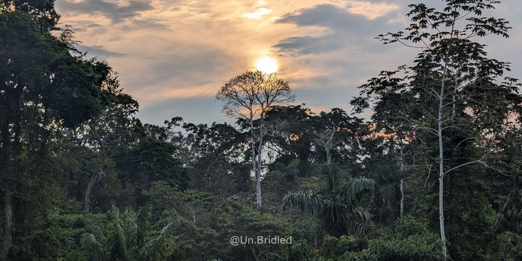 Can Tourism Help a Protected Area Stay Protected?