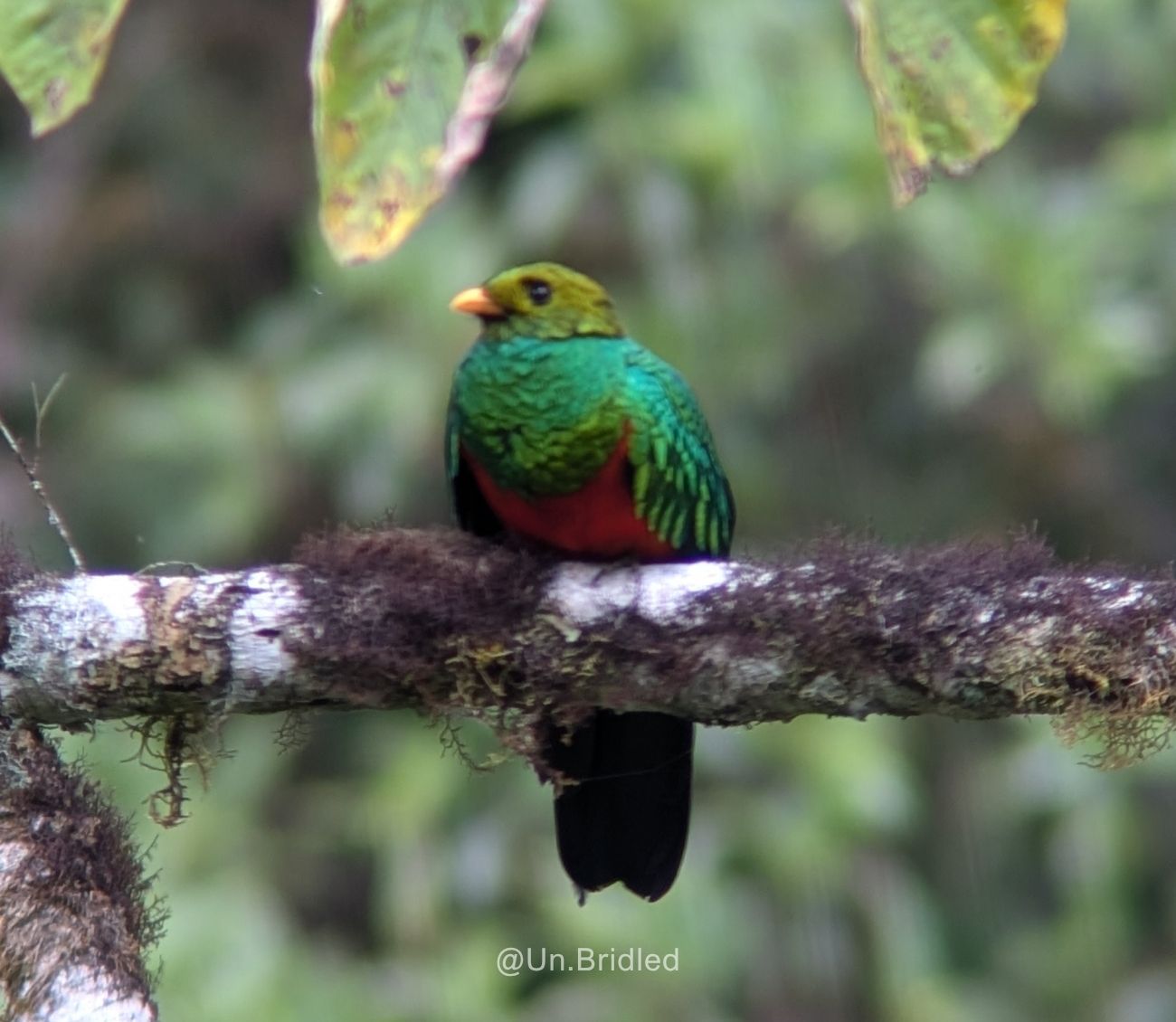 Can Tourism Help a Protected Area Stay Protected? — 2
