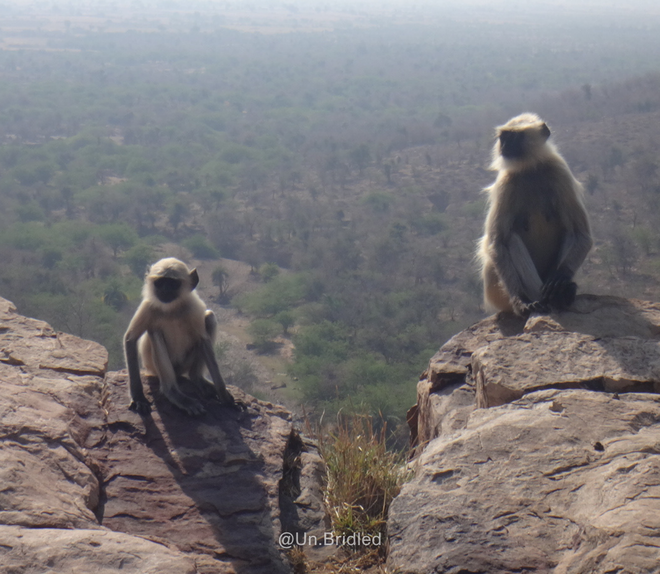Our Standards for Ethical Wildlife Interactions — 2