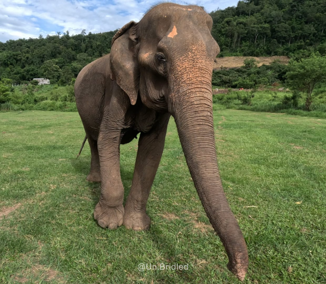 Our Standards for Ethical Wildlife Interactions — 3