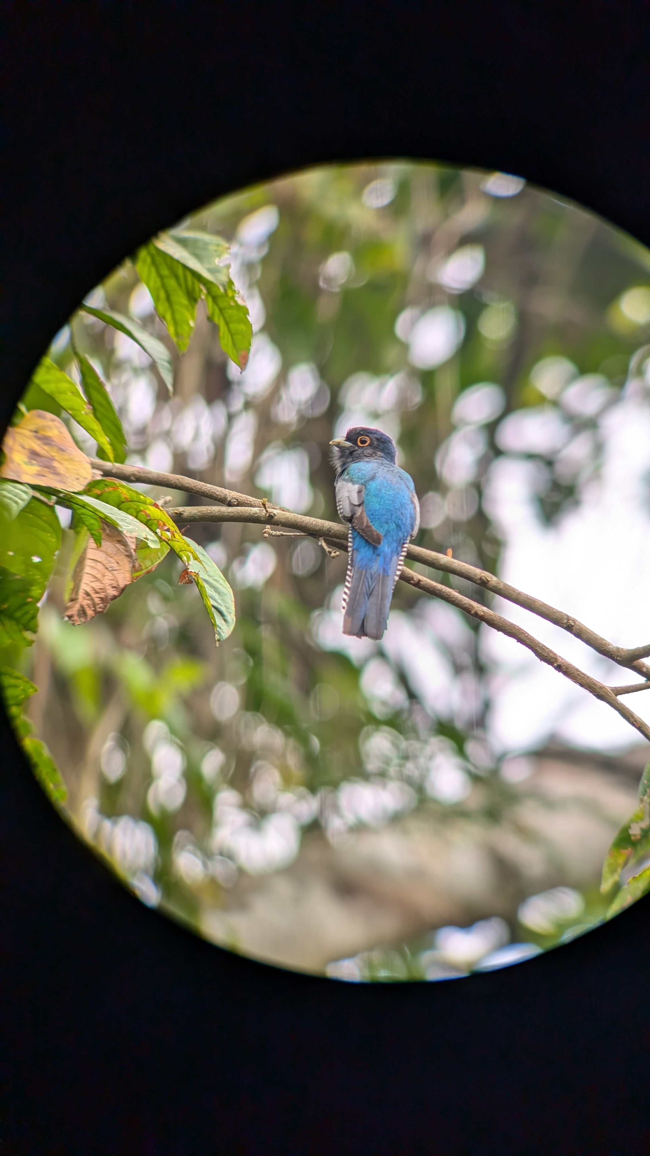 Review photo 2 for Manu National Park