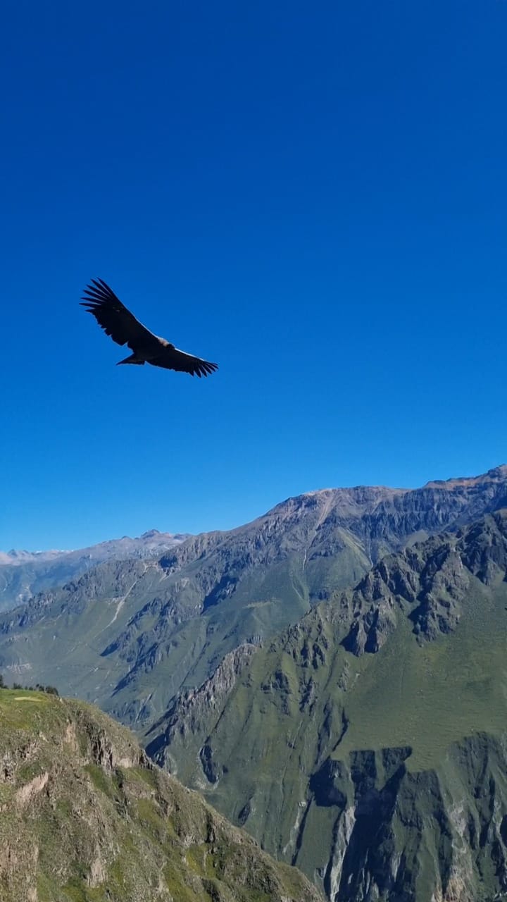 Review photo 1 for Cruz del Cóndor