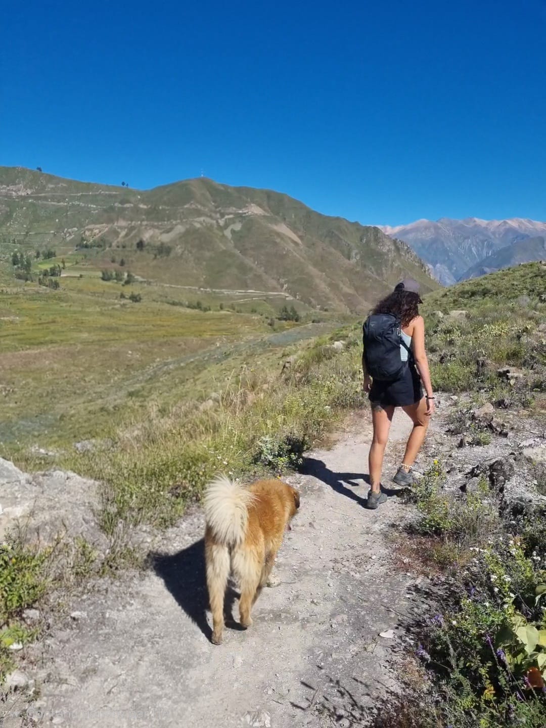 Bajo el vuelo del cóndor – photo 3